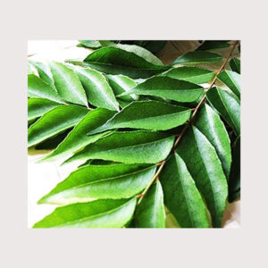 Curry Leaf Per Bunch