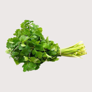 Fresh Coriander Each 1.00