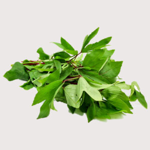 Gongura Leaves 200-250 gm approx