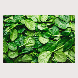 Spinach Bunch
