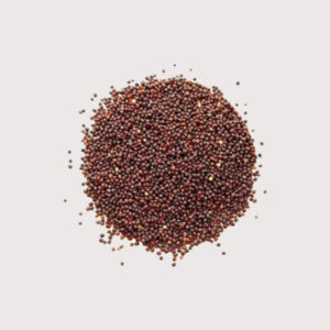 Z-Brown Mustard Seed